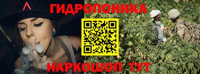 твердый Лесосибирск