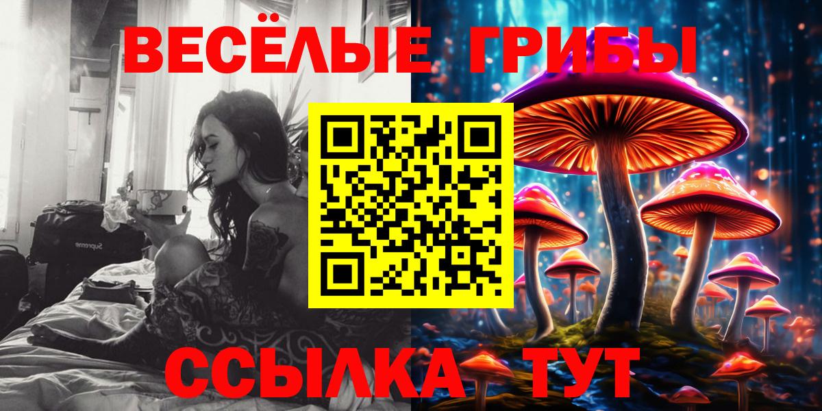 Заводоуковск  Галлюциногенные грибы Magic Shrooms  Вход с VPN 