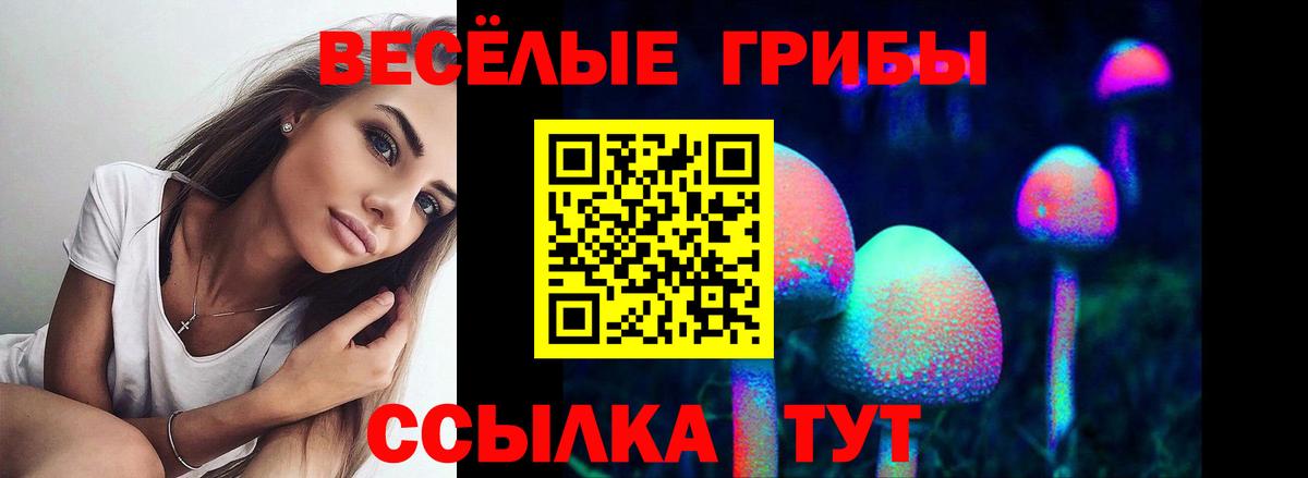 Галлюциногенные грибы мицелий Заводоуковск
