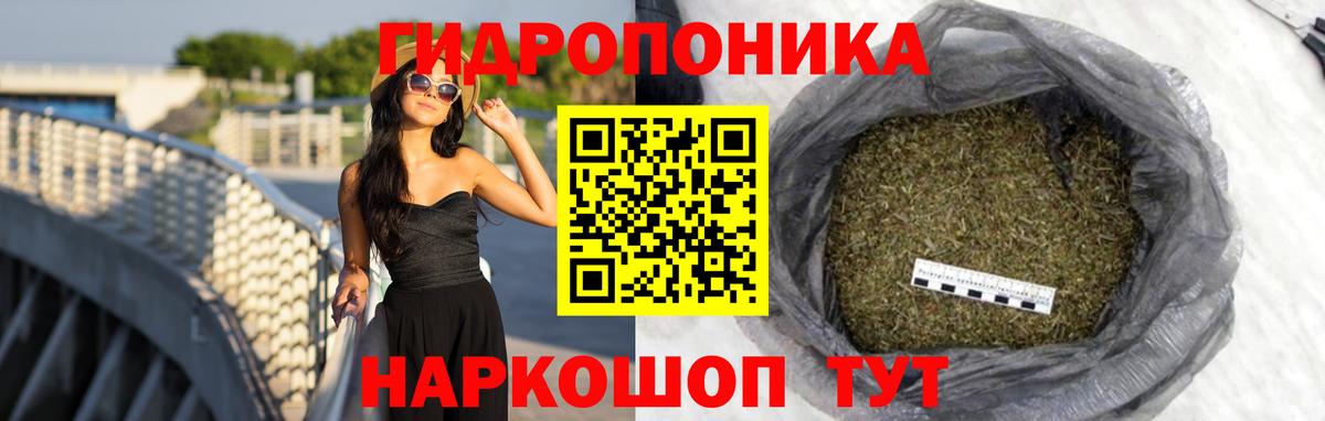Конопля тримм  Вход с VPN  Заводоуковск  Марихуана Bruce Banner 